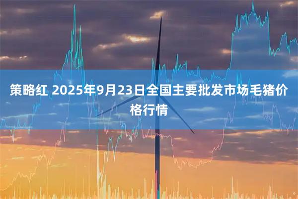 策略红 2025年9月23日全国主要批发市场毛猪价格行情