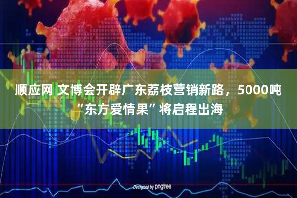 顺应网 文博会开辟广东荔枝营销新路，5000吨“东方爱情果”将启程出海